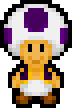 PURPLE TOAD