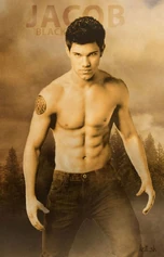 Jacob-Black-New-Moon-twilight-serie