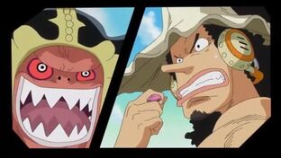 Daruma vs usopp