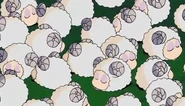 Sheep Sleeping