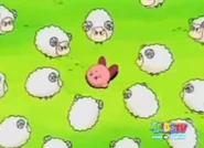 Sheep Attack