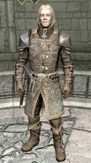 Agmaer Dawnguard Armor