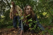 Zombie Crawler