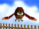Hoot The Owl