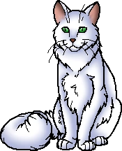 Blizzardstar.leader