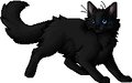 Cinderpelt.apprentice