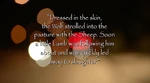 205-Quote