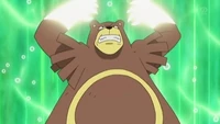 EP653 Ursaring Machada