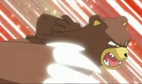 EP601 Ursaring Cuchillada