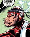 Flash JLApe 002