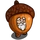 Acorn Gnome-icon