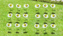 18-Flowers