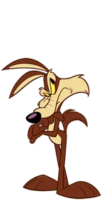 Wile 212x406