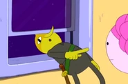 Lemongrabymm8