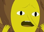Lemongrabymm15