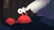 PuffleTrouble14