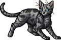 Jayfeather.apprentice