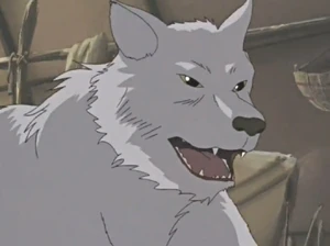 Skye