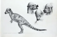 Artwork-pachycephalosaurus