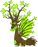 TreeDragonAdult