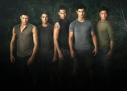 New moon wolfpack