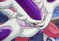 Freeza 3rd form