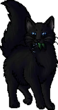 Cinderpelt.mc