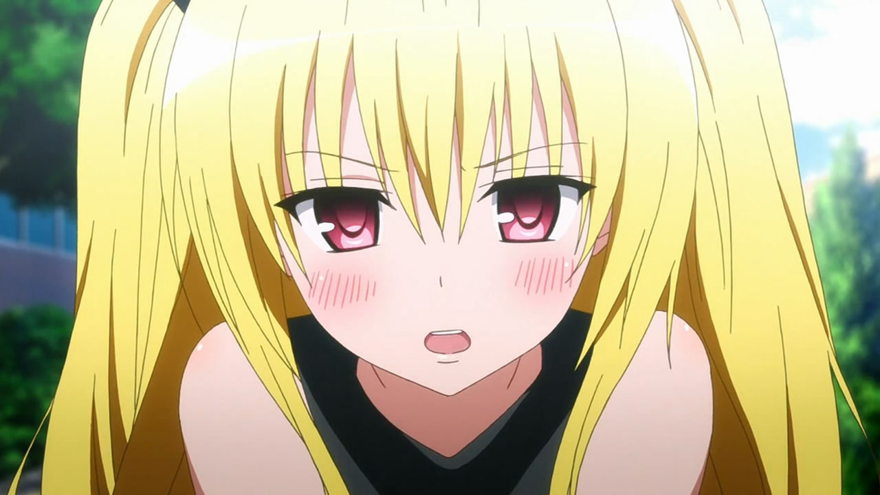 Baka !!! Baka !!!