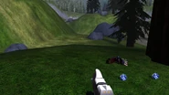 Tim needlerspawn