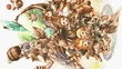 EoT - Cards - Clavat Series Rare