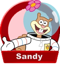 SandySelection