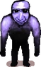 Enemy squatto