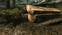Sawn Logs