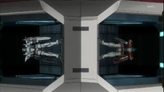Genoace catapult
