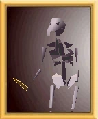 Character Skeleton