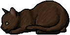 Nutwhisker.kit