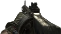 Striker MW2