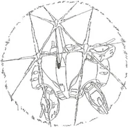 Ymaf-x6bd-reflector