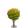 Sandalwood Tree-icon