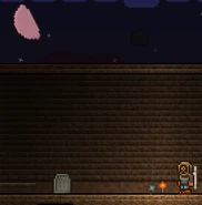 Blood Moon