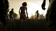 twd twd