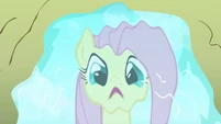 Fluttershy shocked at reflection in puddle S2E19