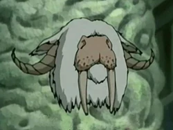Walrus yak