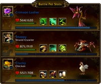 Battle Pet Slots team area 5 0 5 16135