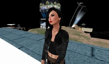 Snapshot 271