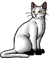 Blackstar.warrior.png