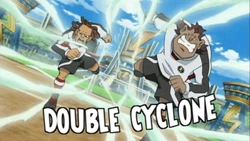 Double cyclone