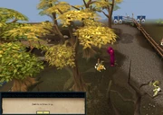Zanik's location