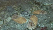 Un-Touched Campsite