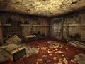Pretty Sarahs room.jpg